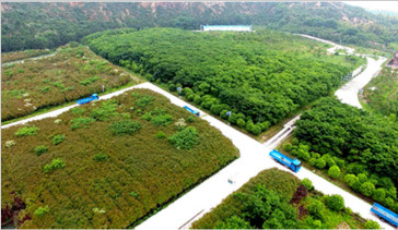 杭州常林-綠色礦山建設(shè)，為何鐘情山推挖掘機(jī)—湖州美卓礦業(yè)